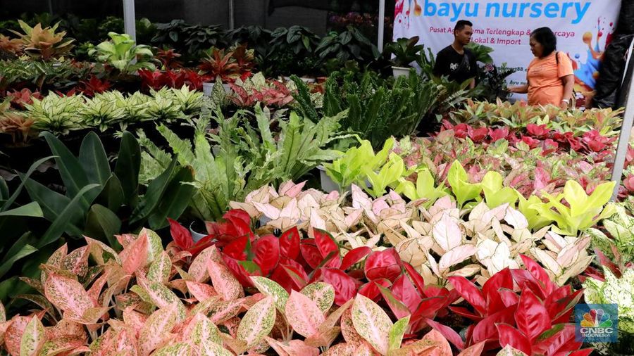 Suasana saat berlangsunya Pameran Flona 2024 di Lapangan Banteng, Jakarta, Jumat (12/7/2024). (CNBC Indonesia/Muhammad Sabki)