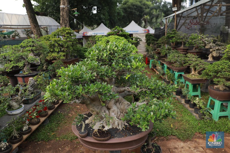 Suasana saat berlangsunya Pameran Flona 2024 di Lapangan Banteng, Jakarta, Jumat (12/7/2024). (CNBC Indonesia/Muhammad Sabki) Suasana saat berlangsunya Pameran Flona 2024 di Lapangan Banteng, Jakarta, Jumat (12/7/2024). (CNBC Indonesia/Muhammad Sabki)