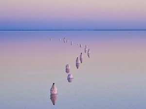 5 Rute Road Trip Terbaik dengan Mobil Van di Melbourne