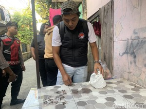 Gorilla Diumpetin di Mesin Cuci Picu Perdebatan Emak-emak Vs Polisi
