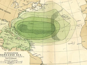 Satu-satunya di Dunia, Ini Laut yang Tidak Berbatasan dengan Daratan