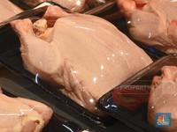 Jangan Mencuci Ayam Mentah Sebelum Dimasak, Ini Alasannya