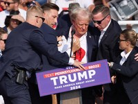 Potret Detik-Detik Telinga Donald Trump Ditembak Saat Kampanye