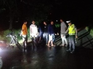 Kronologi Laka Adu Banteng di Musi Rawas yang Tewaskan Aziz