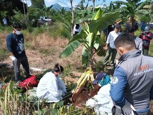 Orang Utan Mati di Kalbar Ditemukan dengan Luka Akibat Benda Tajam