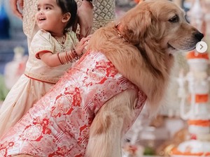 Happy, Anjing Keluarga Ambani yang Curi Atensi di Pernikahan Anant-Radhika