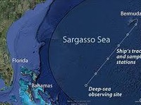 Ini Laut Satu-satunya di Dunia yang Tak Sentuh Daratan, Kok Bisa?