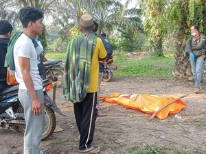 Wanita di Batanghari Ditemukan Terkubur di Kebun Sawit, Dugaan Dibunuh Suami