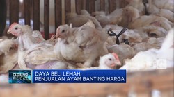 Video: Daya Beli Lemah, Penjual Ayam Banting Harga