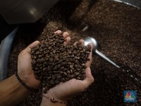 Pak Luhut! Jangan Durian Aja, Bantu Digitalisasi Kopi Juga