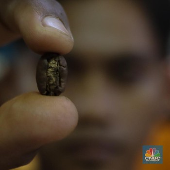 Harga Biji Kopi Terbang Tinggi, Pencinta Kopi Jadi Korban?