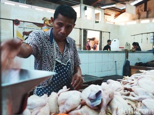 Hari Raya Berdekatan, Harga Daging Ayam di Klungkung Tembus Rp 48 Ribu per Kg