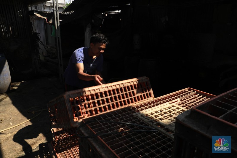 Suasana penjualan ayam potong di Kawasan Kalimalang, Jakarta, Selasa (16/7/2024). (CNBC Indonesia/Muhammad Sabki) Suasana penjualan ayam potong di Kawasan Kalimalang, Jakarta, Selasa (16/7/2024). (CNBC Indonesia/Muhammad Sabki)