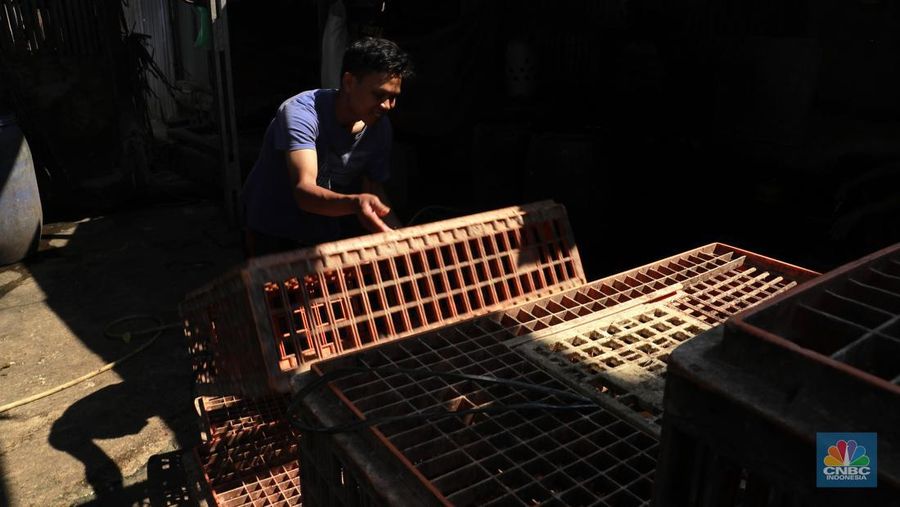 Suasana penjualan ayam potong di Kawasan Kalimalang, Jakarta, Selasa (16/7/2024). (CNBC Indonesia/Muhammad Sabki)