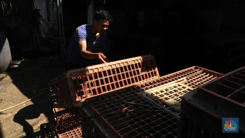 Suasana penjualan ayam potong di Kawasan Kalimalang, Jakarta, Selasa (16/7/2024). (CNBC Indonesia/Muhammad Sabki)