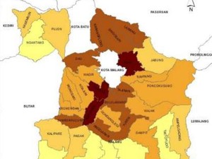 Pakar UB Bicara soal Tantangan Pemekaran Wilayah Kabupaten Malang