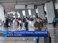 Video: Kemenhub Buka Suara Soal Tiket Pesawat Mahal