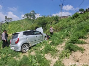 Sopir Lihat Persneling, Ayla Bablas Terjun ke Ladang di Cepogo Boyolali