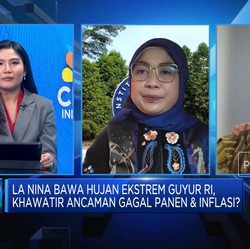Pak Jokowi, Ini Saran Ahli Cara Amankan Stok Pangan Hadapi La Nina