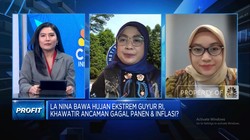 Pak Jokowi, Ini Saran Ahli Cara Amankan Stok Pangan Hadapi La Nina