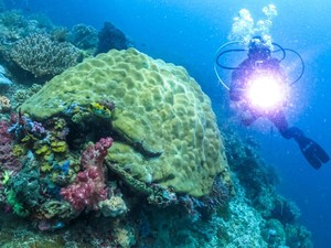 Ancaman Mengerikan Tambang Nikel di Raja Ampat