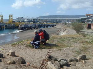 Penyeberangan di Selat Bali Ditutup Sementara gegara Cuaca Buruk