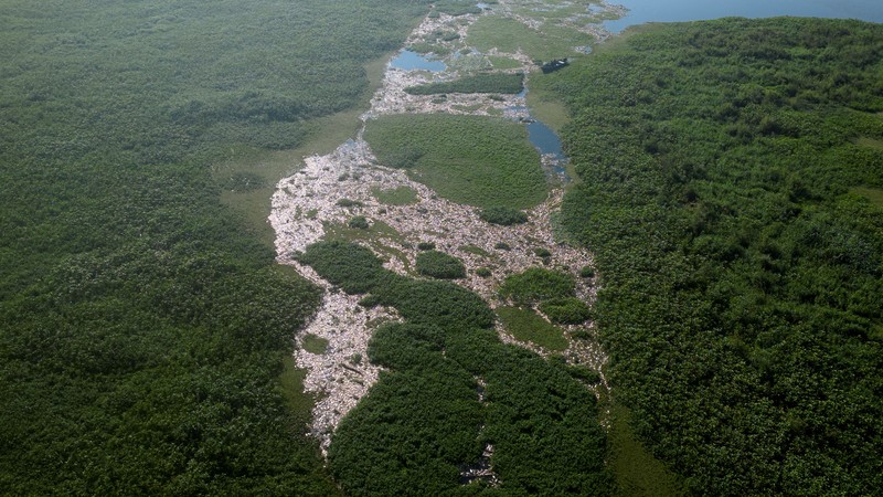 Foto udara menampilkan ribuan ikan mati akibat air yang terkontaminasi di Sungai Piracicaba, kawasan lindung Tanqua, Sao Paulo, Brasil, Kamis (18/7/2024). (REUTERS/Jorge Silva)