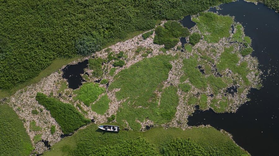 Foto udara menampilkan ribuan ikan mati akibat air yang terkontaminasi di Sungai Piracicaba, kawasan lindung Tanqua, Sao Paulo, Brasil, Kamis (18/7/2024). (REUTERS/Jorge Silva)