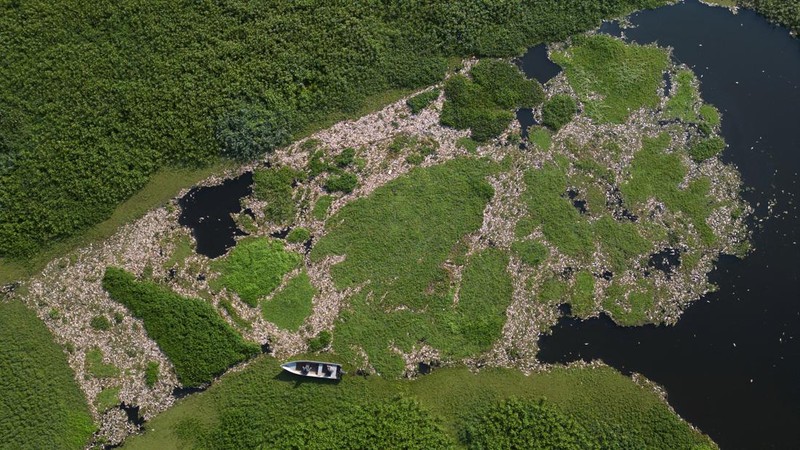 Foto udara menampilkan ribuan ikan mati akibat air yang terkontaminasi di Sungai Piracicaba, kawasan lindung Tanqua, Sao Paulo, Brasil, Kamis (18/7/2024). (REUTERS/Jorge Silva)