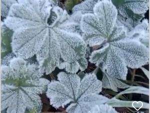 Embun Es Muncul di Puncak Merbabu, Suhunya 5 Derajat Celcius