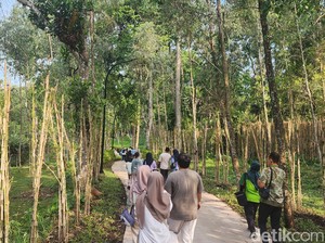 Taman Safari Berencana Dirikan Tempat Rekreasi di IKN