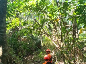Wanita Lansia di Sikka Hilang Setelah Pamit ke Kebun