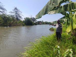 Mitos Tedak Kroman, Siluman Buaya Sungai Kedungpeluk Sidoarjo