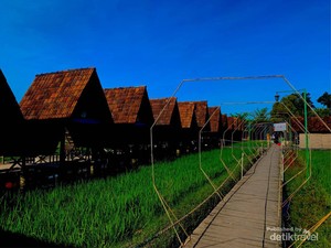 Ini Lembah Desa Pulutan Gunungkidul, Cocok buat Ngadem