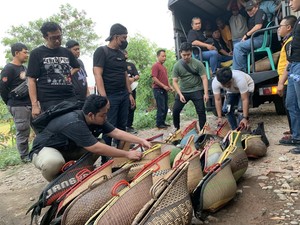 Polisi Tetapkan 50 Tersangka Judi Sabung Ayam Legok Stadium Bekasi