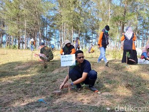Ratusan Warga Pacitan Tanam Cemara Udang untuk Mitigasi Gempa dan Tsunami