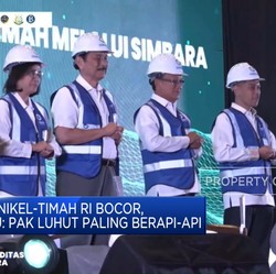 Demi Cegah Nikel & Timah RI Bocor, Menkeu: Pak Luhut Paling Berapi-api