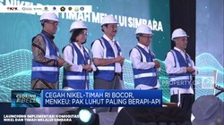 Demi Cegah Nikel & Timah RI Bocor, Menkeu: Pak Luhut Paling Berapi-api