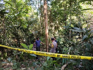 Jatuh dari Pohon Duku 12 Meter Saat Panen Merica, Petani di Kulon Progo Tewas