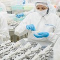Resmi Melantai Di BEI, Saham Emiten Burung Walet (Nest) Terbang 35%