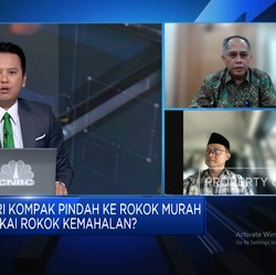 Cukai Naik Dikeluhkan & Ramai Rokok Ilegal, Bea Cukai Lakukan Apa?