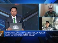 Cukai Naik Dikeluhkan & Ramai Rokok Ilegal, Bea Cukai Lakukan Apa?