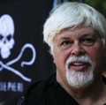 Pendiri Greenpeace Ditangkap & Bakal Diekstradisi ke Jepang, Kenapa?