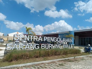Sentra Pengolahan Sarang Walet di Lombok Tengah Sepi Peminat
