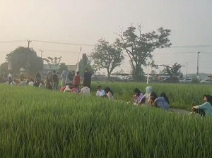 Nikmatnya Sarapan di Tepi Sawah dengan Pemandangan Perbukitan