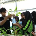 Hari Anak Nasional, BRI Ajak Anak SD Belajar Tanam Hidroponik
