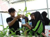 Hari Anak Nasional, BRI Ajak Anak SD Belajar Tanam Hidroponik