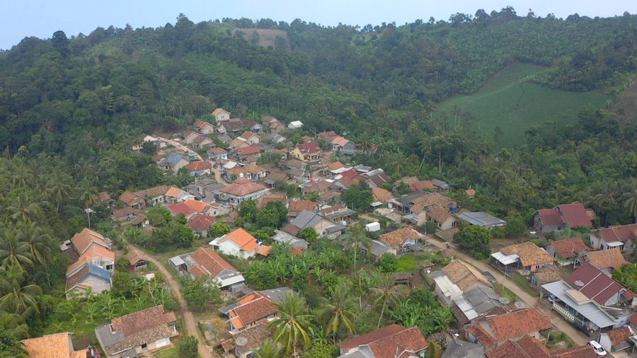 Desa BRILian Hijau (Dok BRI)