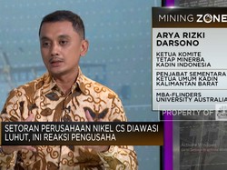 Basmi Tambang Ilegal, Kadin Usul Bentuk Ditjen Khusus Kementerian ESDM
