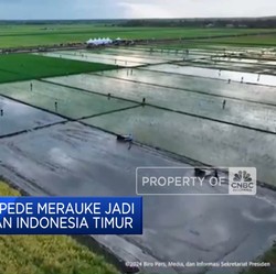Video: Mentan Yakin Merauke Jadi Lumbung Pangan Indonesia Timur